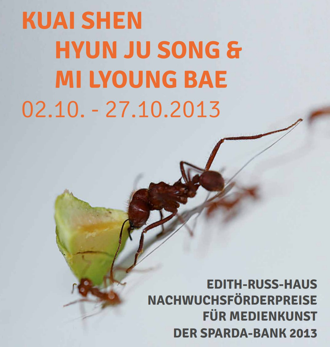 Das Foto zeigt das Plakat der Ausstellung Oh!m1gas: Biomemitic Stridulation Environment/ The Moment. © Edith-Russ-Haus