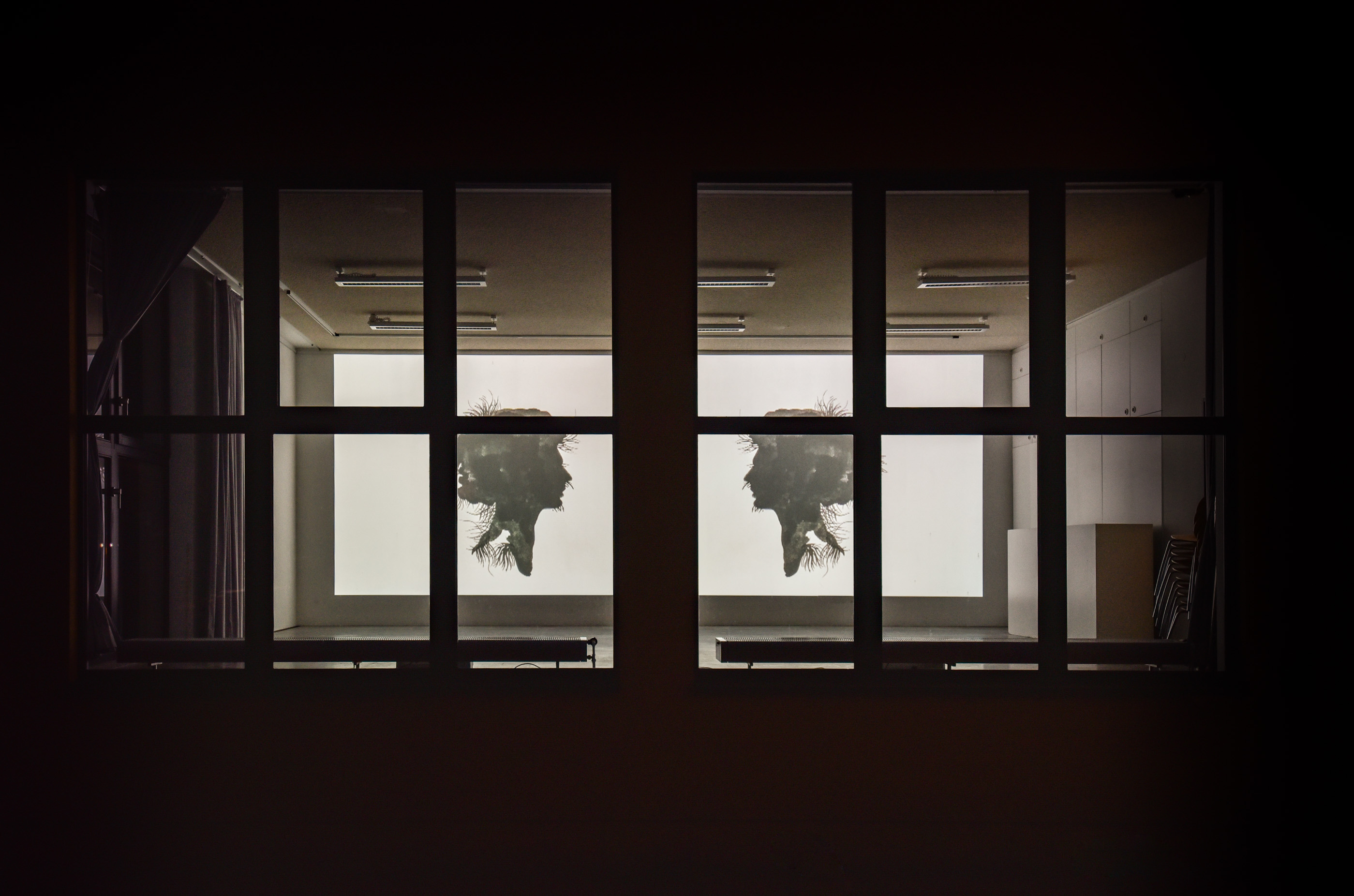 Das Foto zeigt das Aquarium des Edith-Russ-Hauses mit dem Kunstwerk von Roee Rosen: Justine Frank Morphing Self Portraits. Foto © Edith-Russ-Haus