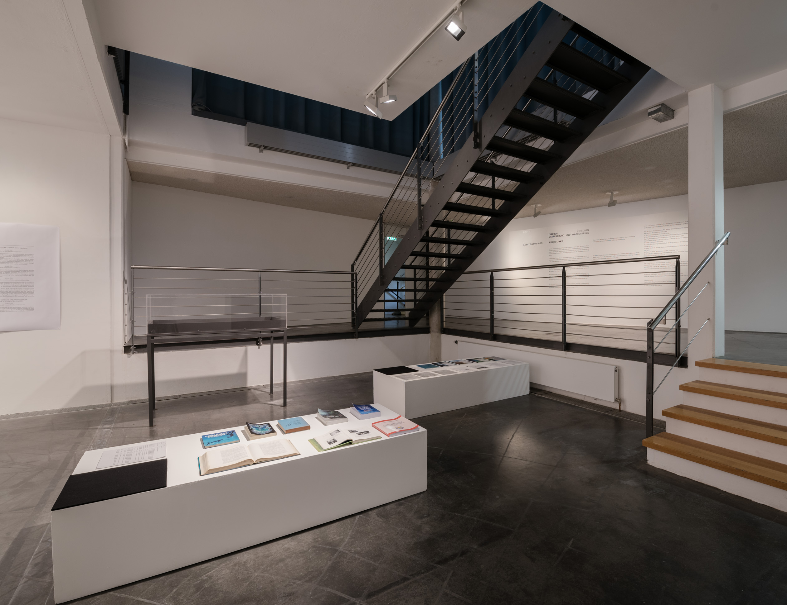 Das Foto zeigt das Untergeschoss des Edith-Russ-Hauses mit der Ausstellungsansicht Armin Linke: Ozeane – Dialoge zwischen Meeresgrund und Wassersäule. Foto © Edith-Russ-Haus