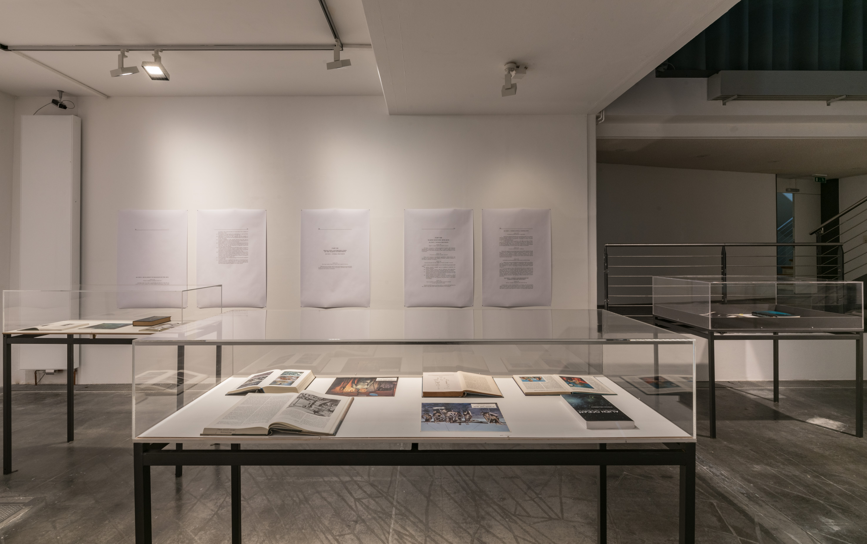 Das Foto zeigt das Untergeschoss des Edith-Russ-Hauses mit der Ausstellungsansicht Armin Linke: Ozeane – Dialoge zwischen Meeresgrund und Wassersäule. Foto © Edith-Russ-Haus