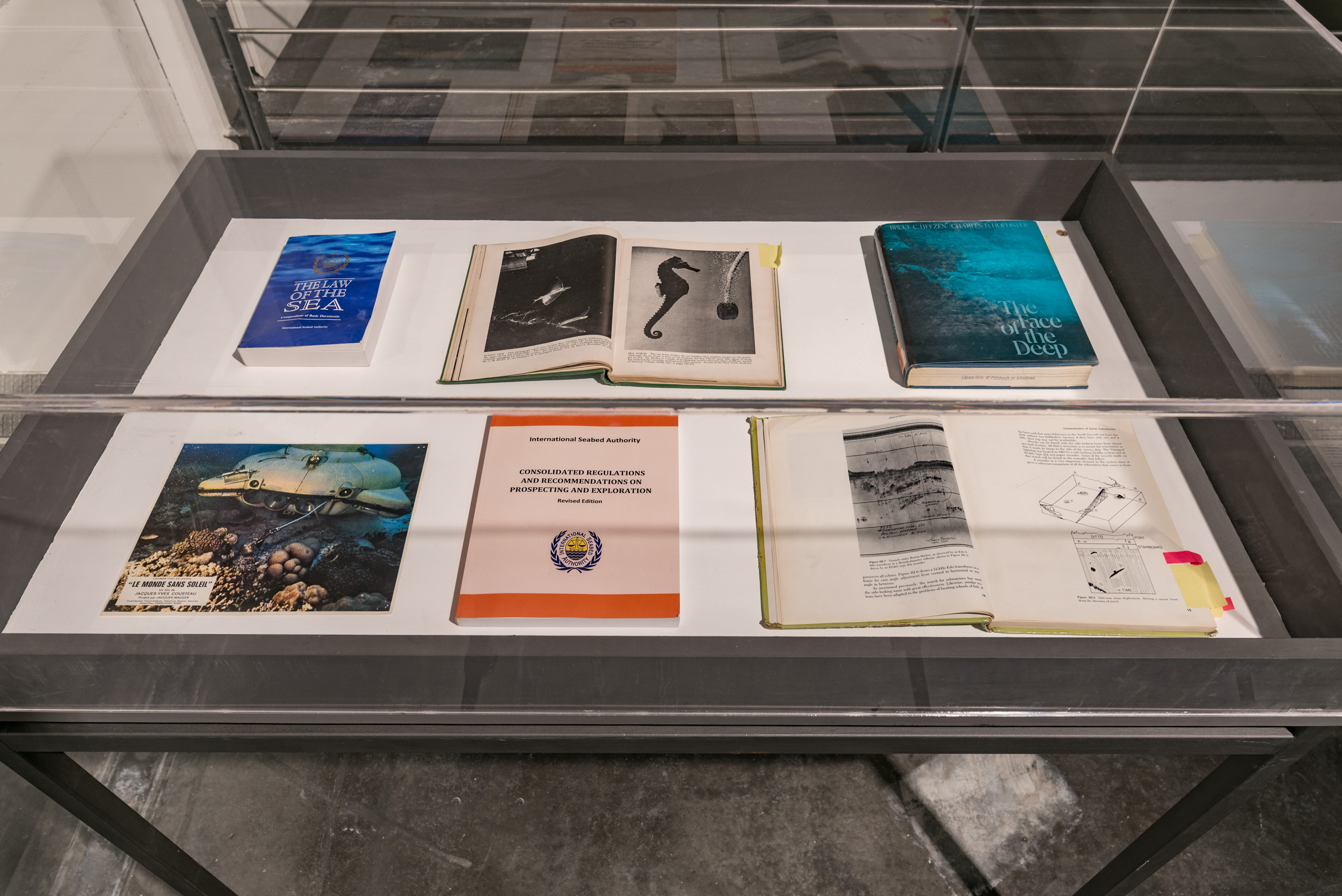 Das Foto zeigt das Untergeschoss des Edith-Russ-Hauses mit der Ausstellungsansicht Armin Linke: Ozeane – Dialoge zwischen Meeresgrund und Wassersäule. Foto © Edith-Russ-Haus