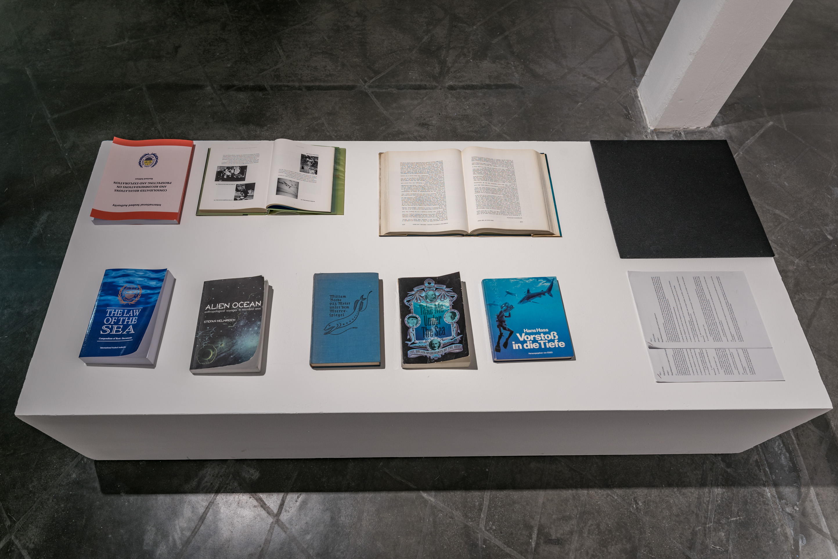 Das Foto zeigt das Untergeschoss des Edith-Russ-Hauses mit der Ausstellungsansicht Armin Linke: Ozeane – Dialoge zwischen Meeresgrund und Wassersäule. Foto © Edith-Russ-Haus
