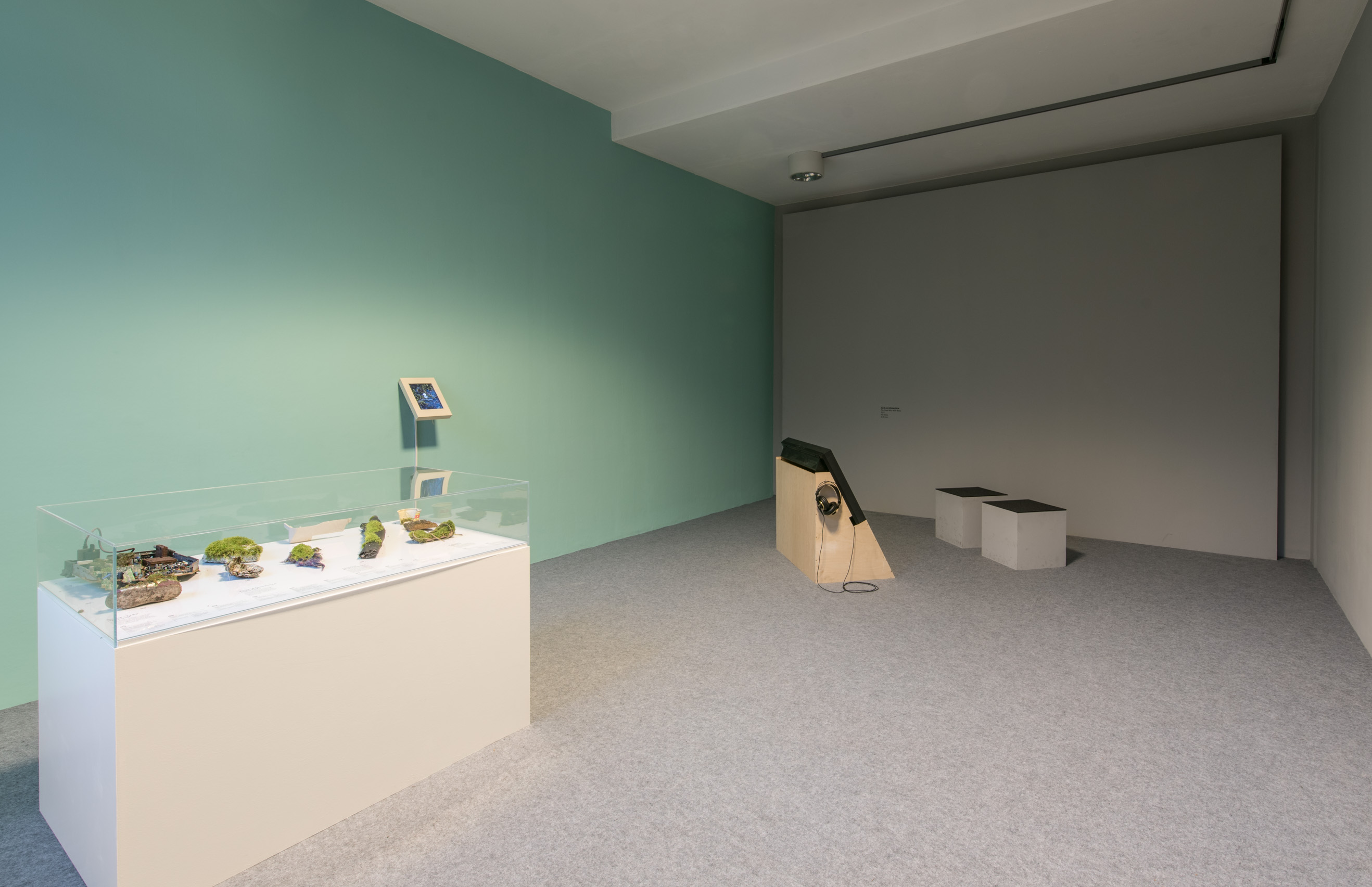 The photo shows the basement of the Edith Russ House with the Exhibition view For Beyond that Horizon Lies Another Horizon. Photo © Edith-Russ-Haus