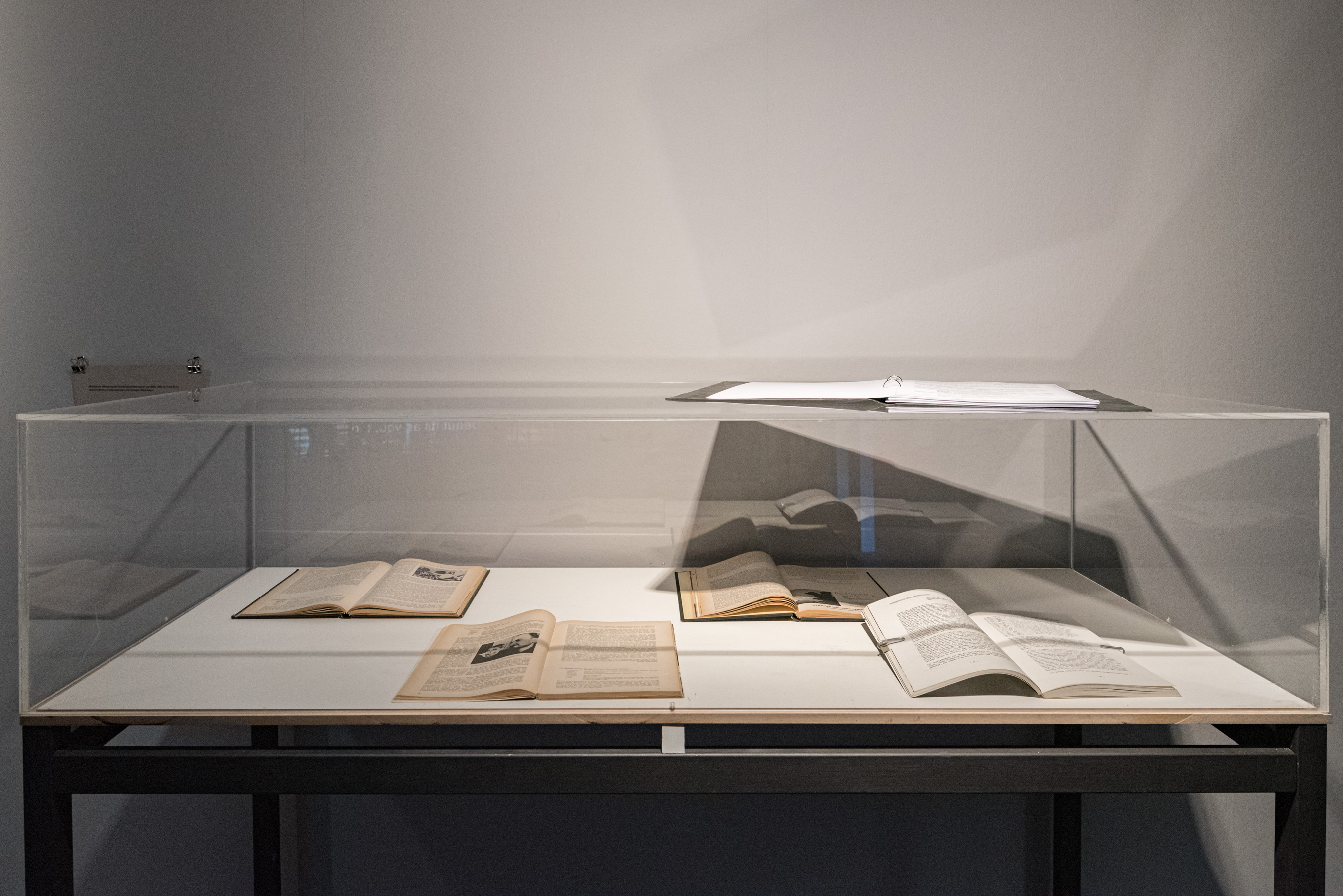 Das Foto zeigt das Untergeschoss des Edith-Russ-Hauses mit der Ausstellungsansicht Želimir Žilnik: Shadow Citizens. Foto © Edith-Russ-Haus