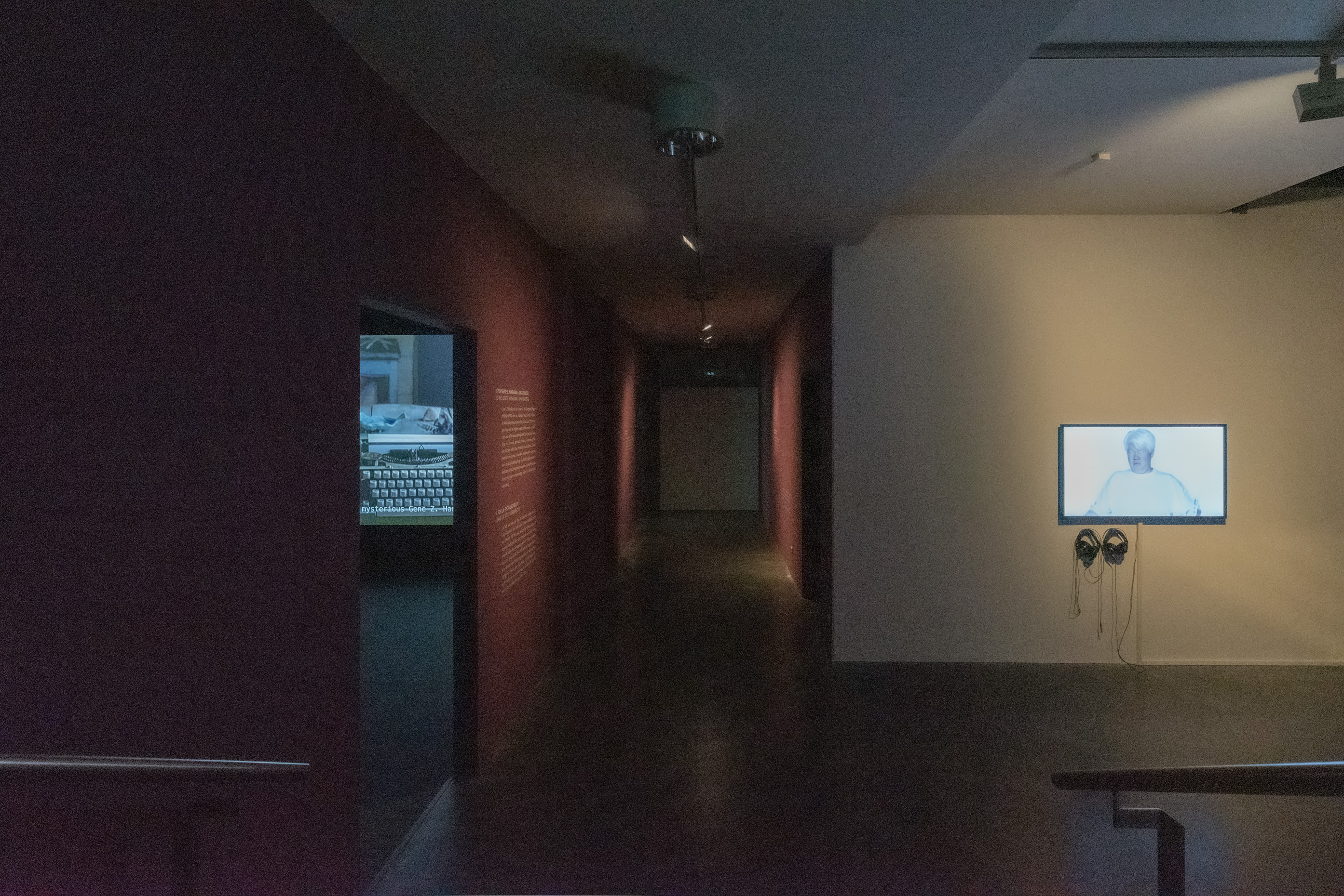 The photo shows the basement of the Edith Russ House with the Exhibition view Ho Tzu Nyen: G for Gong. Photo © Edith-Russ-Haus