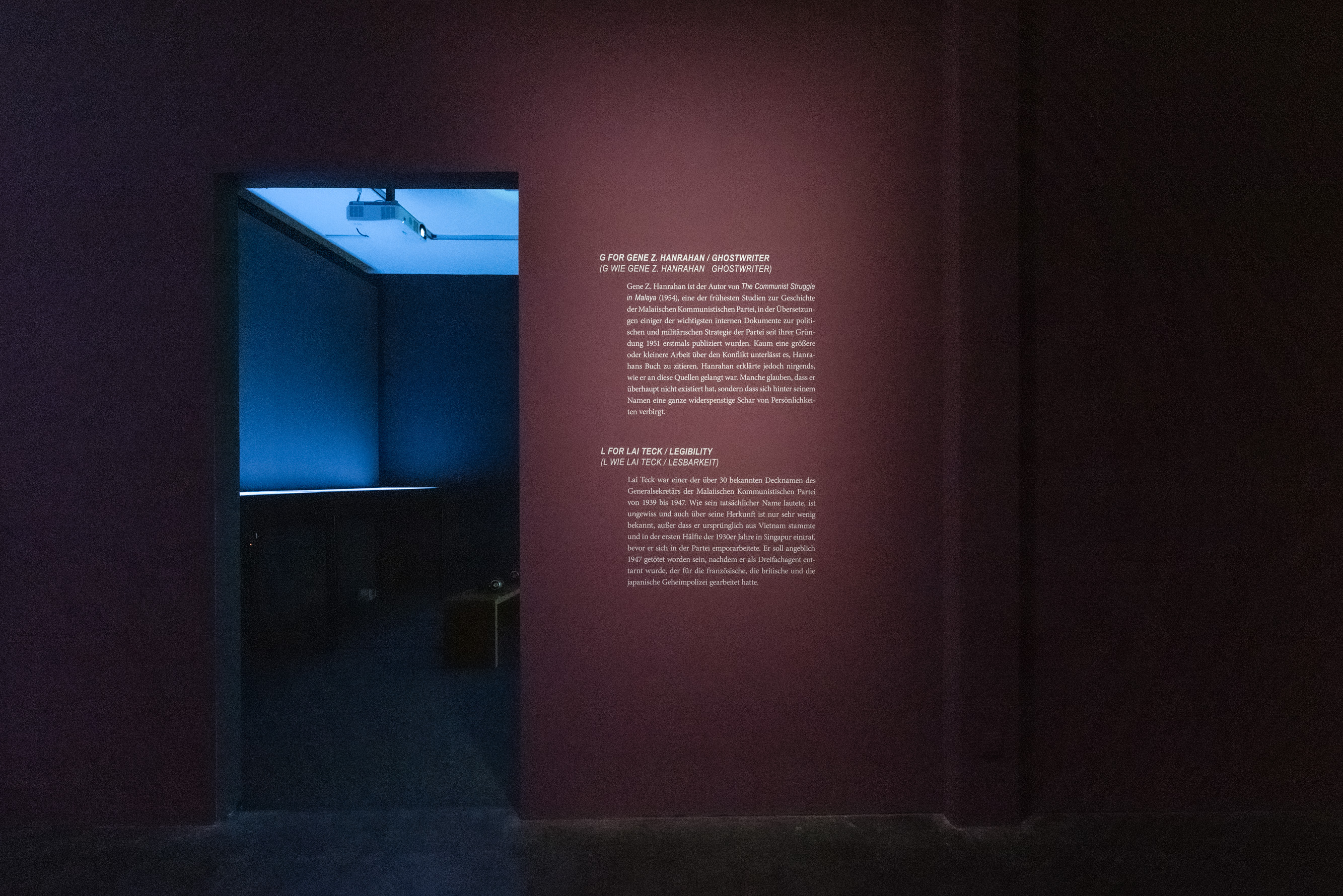 The photo shows the basement of the Edith Russ House with the Exhibition view Ho Tzu Nyen: G for Gong. Photo © Edith-Russ-Haus