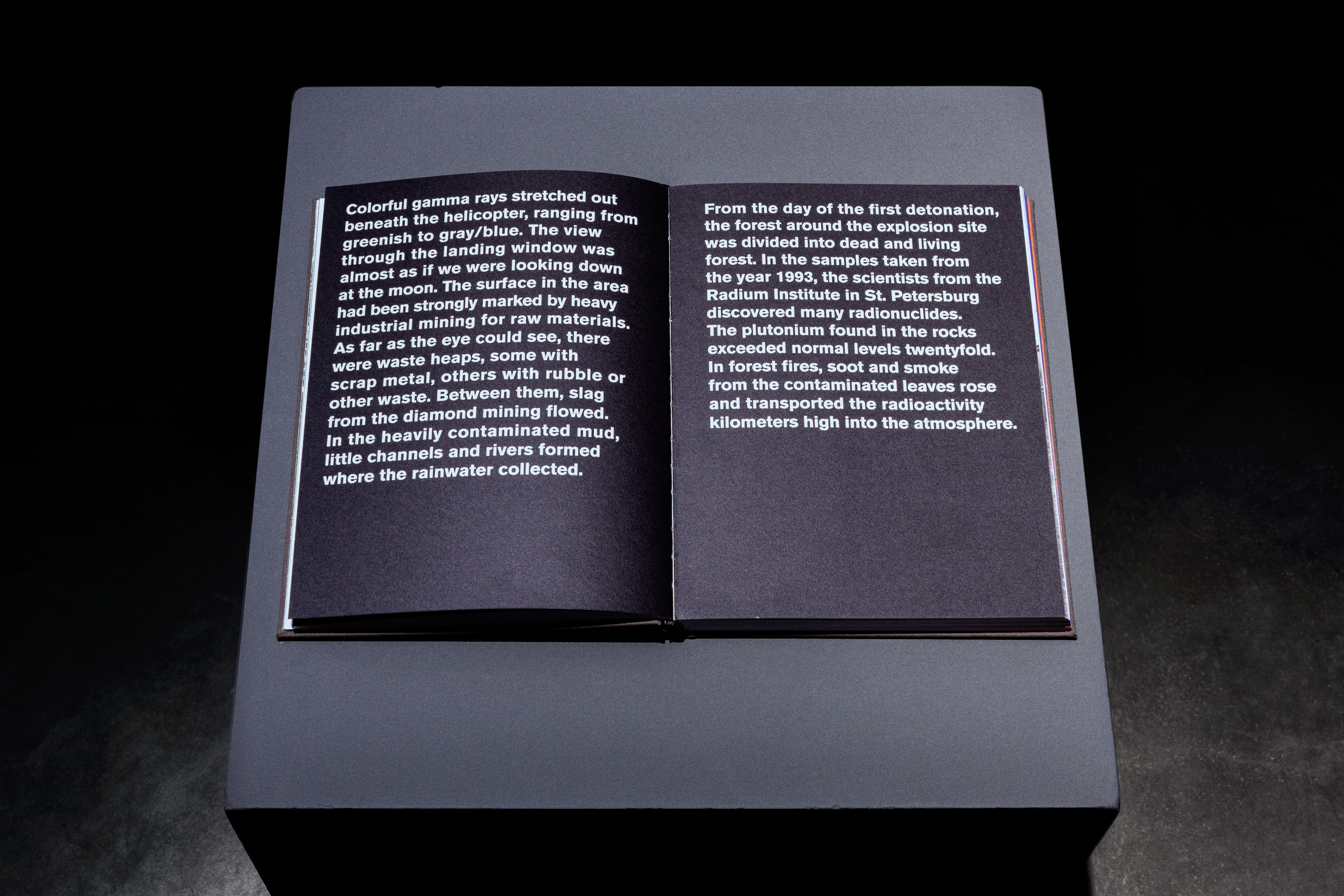 Das Foto zeigt das Obergeschoss des Edith-Russ-Hauses mit dem Kunstwerk von Viktor Brim: Imperial Objects. Foto © Edith-Russ-Haus