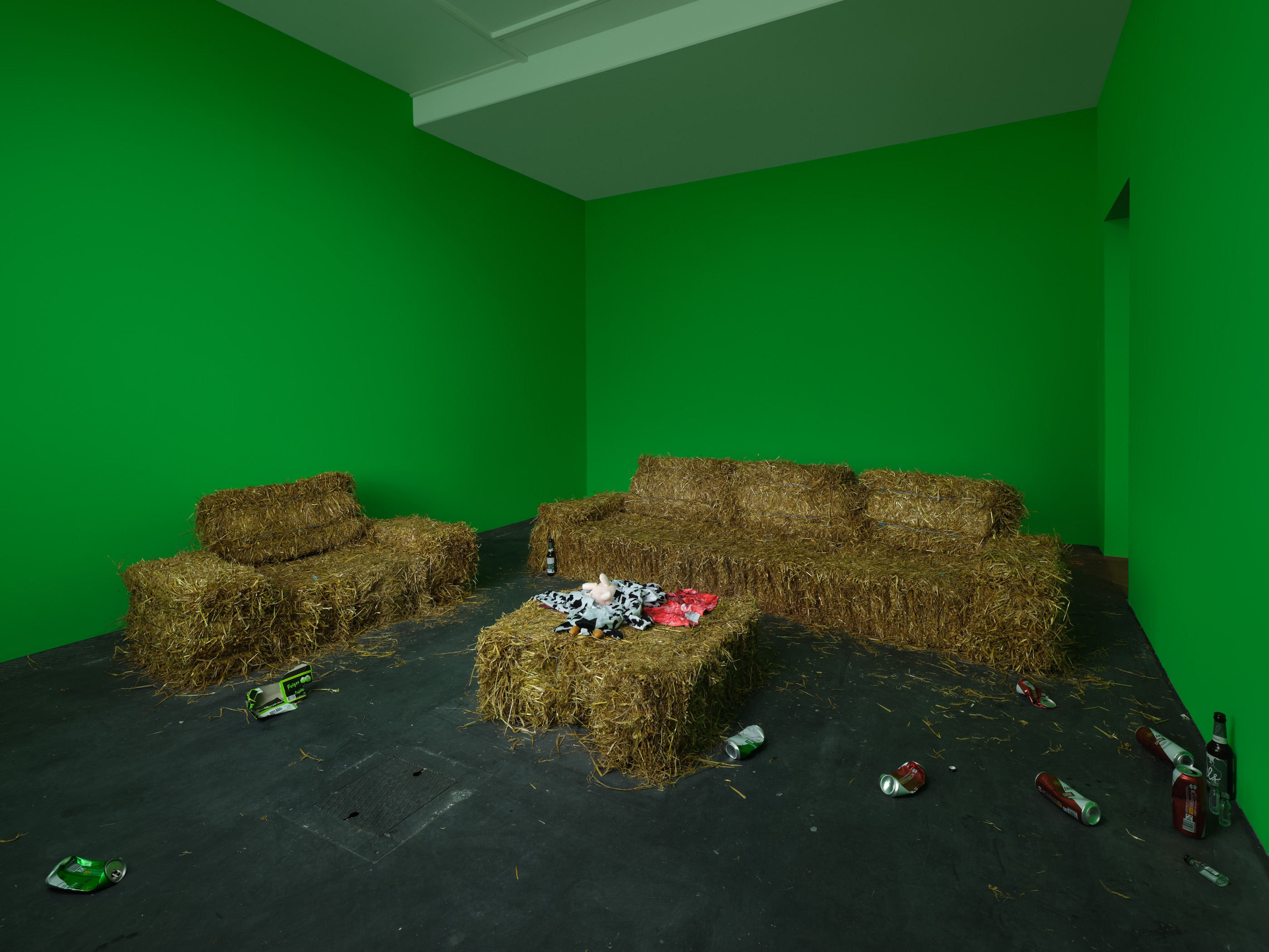 Eoghan Ryan: Truly Rural. Photo © Edith-Russ-Haus 2024
