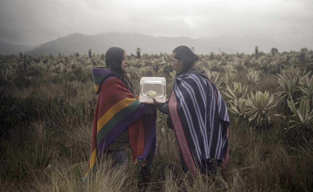 Felipe Castelblanco & Lydia Zimmermann: Ayênan, 2020