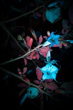 Behind the Night © FelipeCastelblanco 2025