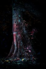 Behind the Night © FelipeCastelblanco 2025
