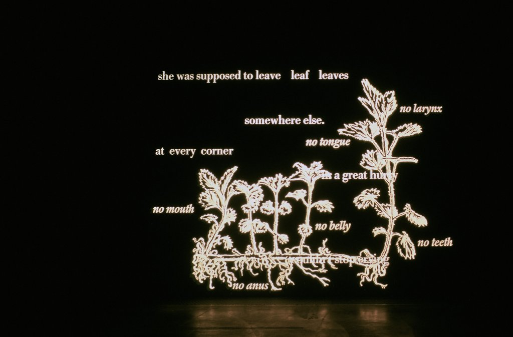Das Foto zeigt das Untergeschoss des Edith-Russ-Hauses mit dem Kunstwerk von Susanne Weirich: Weedgarden. Foto © Edith-Russ-Haus