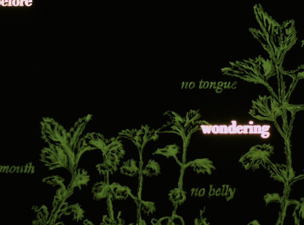 Das Foto zeigt das Untergeschoss des Edith-Russ-Hauses mit dem Kunstwerk von Susanne Weirich: Weedgarden. Foto © Edith-Russ-Haus