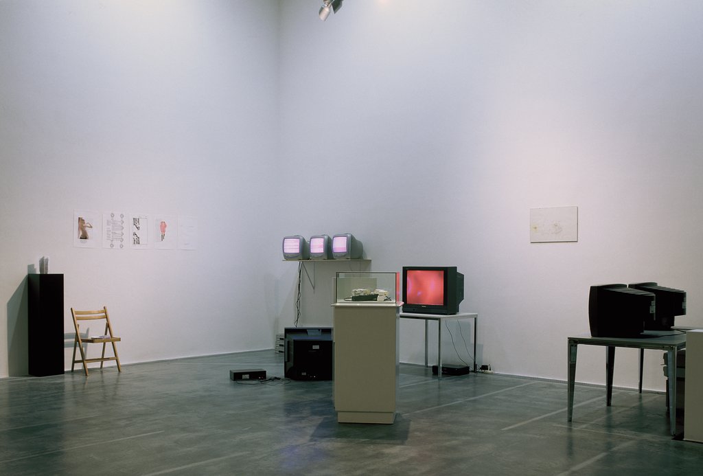 Das Foto zeigt das Obergeschoss des Edith-Russ-Hauses mit der Ausstellungsansicht Bernadette Corporation. Foto © Edith-Russ-Haus